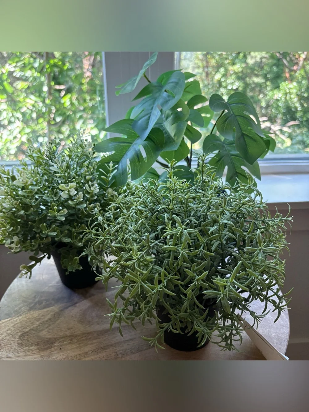 3 IKEA Artificial Plants Bundle FEJKA